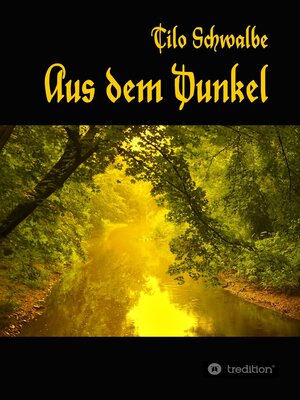 cover image of Aus dem Dunkel